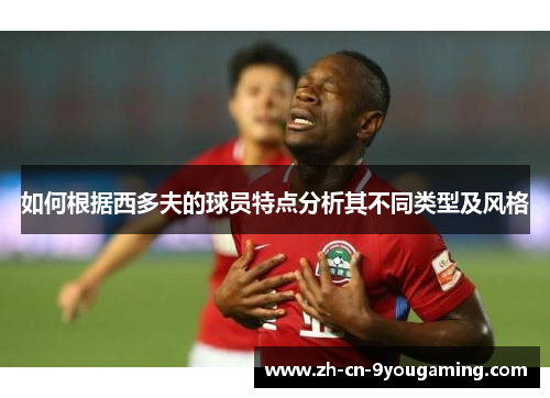 如何根据西多夫的球员特点分析其不同类型及风格