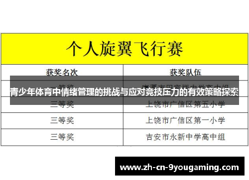 青少年体育中情绪管理的挑战与应对竞技压力的有效策略探索