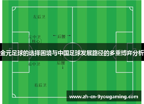金元足球的选择困境与中国足球发展路径的多重博弈分析
