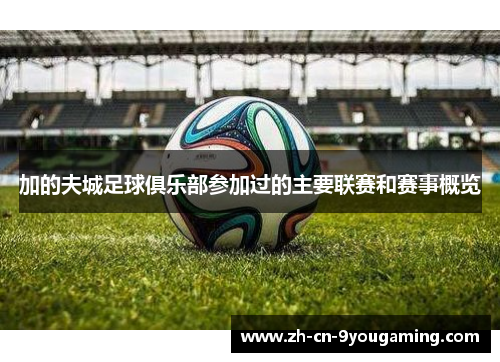 加的夫城足球俱乐部参加过的主要联赛和赛事概览 加的夫城足球俱乐部参加过的主要联赛和赛事概览