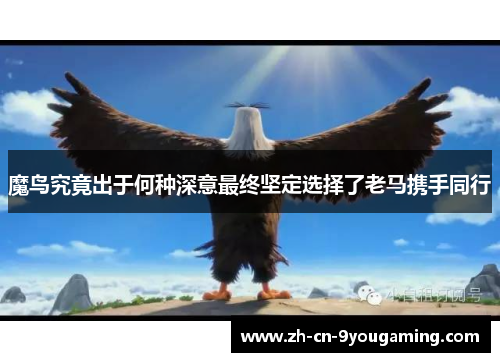 魔鸟究竟出于何种深意最终坚定选择了老马携手同行